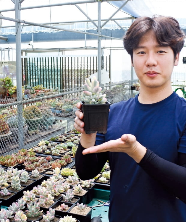 1000만원짜리 다육식물로 뜬 스타 유튜버 농부