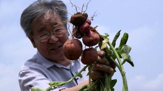 한국인의 밥상 오늘(3일) 결방, 부산국제영화제 개막식 중계