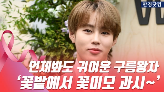 HK직캠｜하성운, 언제봐도 귀여운 구름왕자…꽃밭에서 꽃미모 과시~