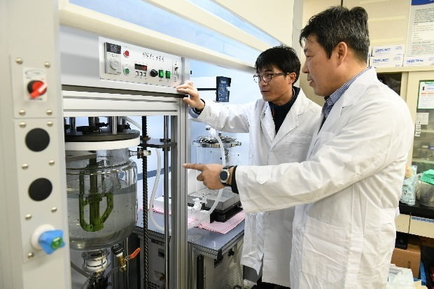 접는 PCB·2차원 다이아몬드…꿈의 신소재 그래핀 상용화 잰걸음