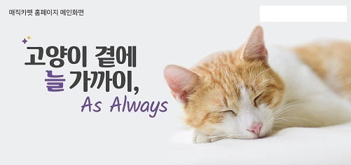 프리미엄 고양이모래 매직카펫, 홈페이지 리뉴얼 오픈 기념 이벤트 진행