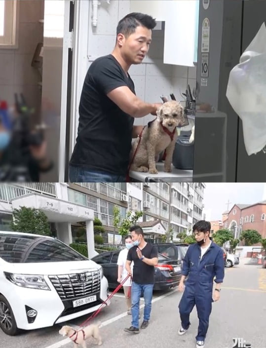 개는 훌륭하다 강형욱, 전기충격 진음방지기 채운 고민견 등장에 고민