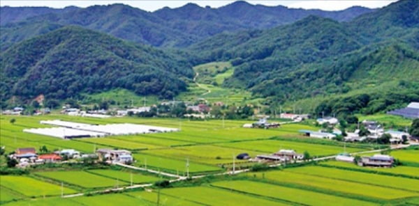 오미마을, 통가마솥 밥에 특산물 5味…밥도둑 따로 없네