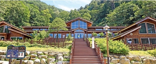 녹색의 향기 숲의 시간이 왔다