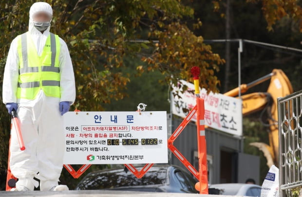 강원도 화천 돼지열병 소식에 동물백신株 강세
