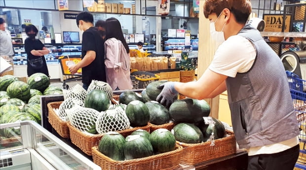 맛없다던 꼬마 수박의 반전 드라마