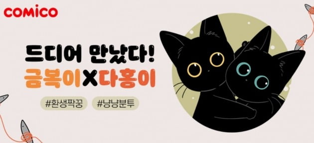 박수홍 반려묘 다홍이 이야기 특별판 웹툰 나왔다