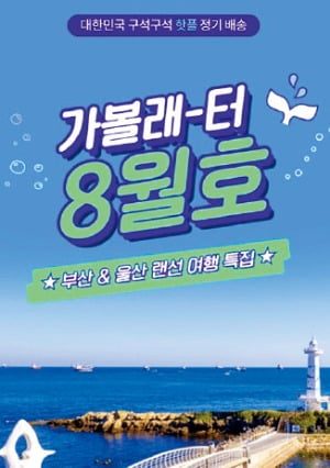 국내 첫 여행정보 구독서비스 가볼래-터 인기