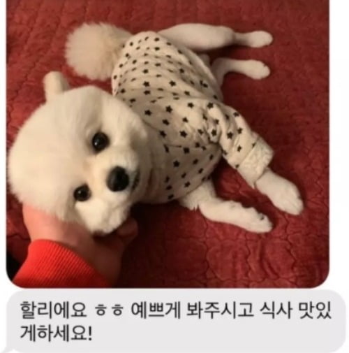 사이다 포기하고 선택한 강아지…단골 맛집 생기게 된 사연