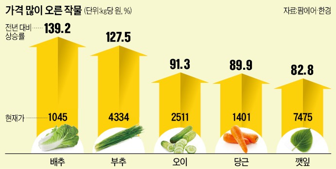 상추 대신 청양고추 내놓는 고깃집…반찬 리필 때마다 심장이 덜컥