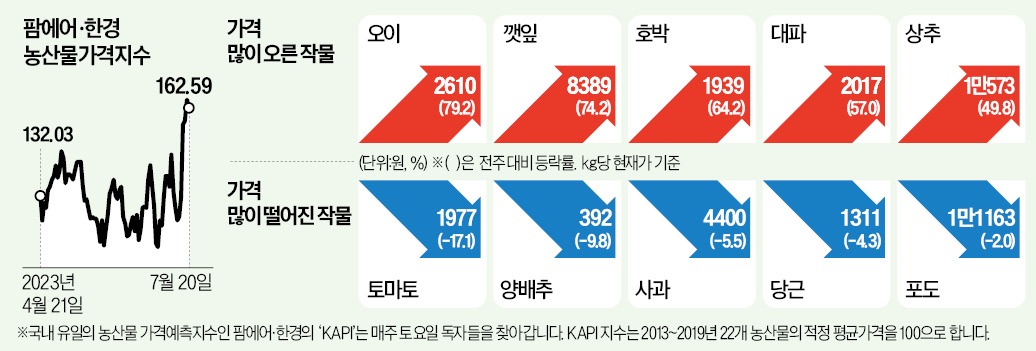 식탁 덮친 폭우…오이·깻잎 1주일새 70% 폭등