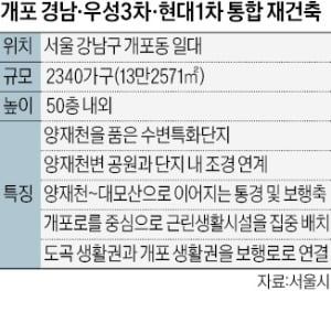 개포 경·우·현 통합 재건축…양재천 품는다