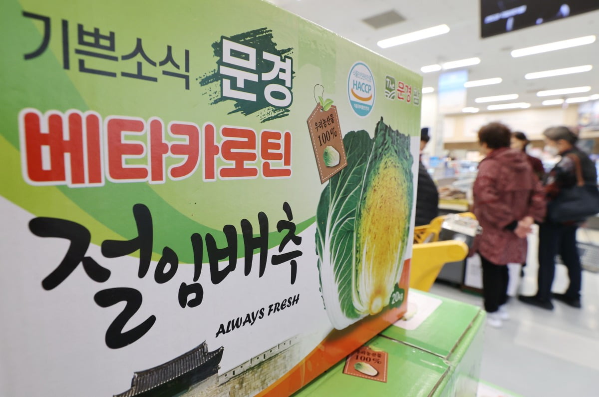 배추보다 싸다니?…반값 절임배추 가능한 까닭은 [오정민의 유통한입]
