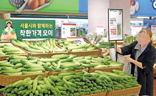 오이 사러 마트 갔다가…이 가격 실화? 화들짝 [한경제의 신선한 경제]