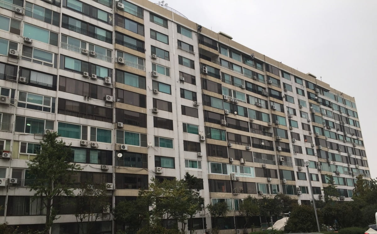 반도 단지 사진