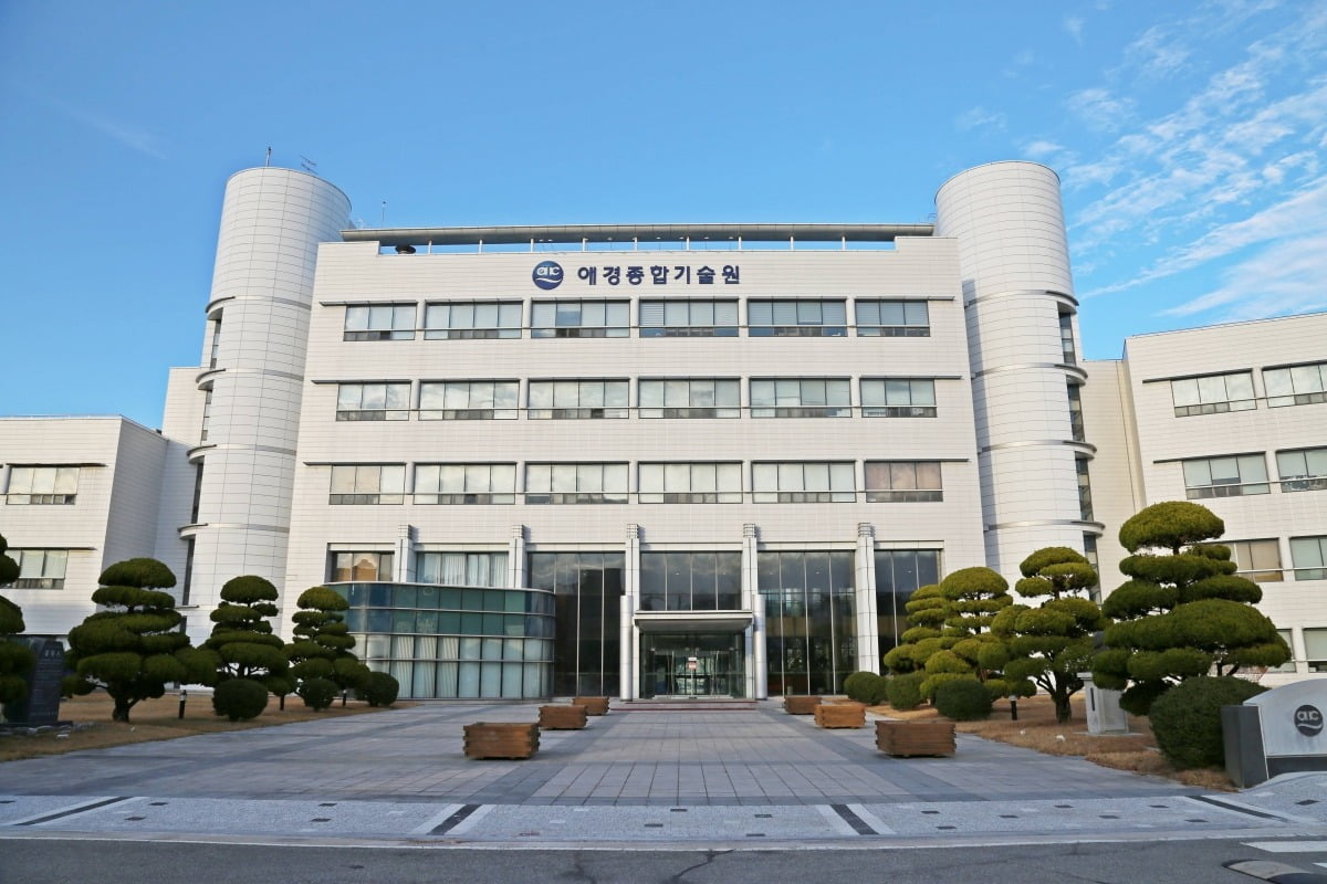 비누 팔던 애경산업의 변신…주가 2배 상승 기대감 폭발 [윤현주의 主食이 주식]