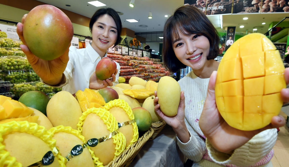 미쳤다 공포의 과일 가격…요즘 더 싸다는 반전 식품은?