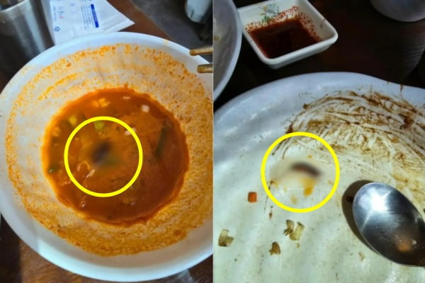 짬뽕 국물서 바퀴벌레가…점심 먹으러 갔다가 경악