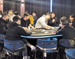 시드권 불법거래 칼 빼들자…홀덤펍도 억대 대회도 와르르