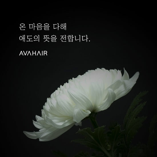 에이바헤어, 제주항공 참사에 기부…마음 깊이 애도