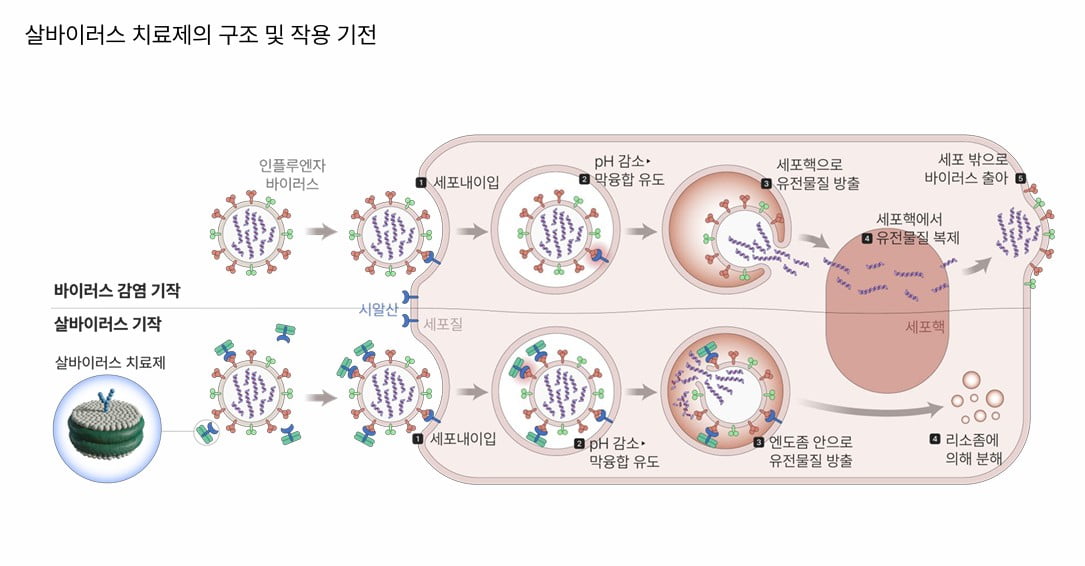 [K바이오 뉴프런티어 (3)] 엠브릭스 단백질 공학 기술로 신약 패러다임 바꾸겠다