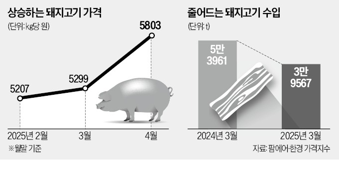돼지고기 도매가 한달새 10% 껑충
