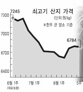 美쇠고기 최대 수혜자는 유통업자