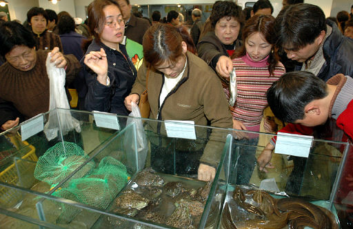[글로벌유통]中이마트 식품매장엔 자라ㆍ개구리도 있다?