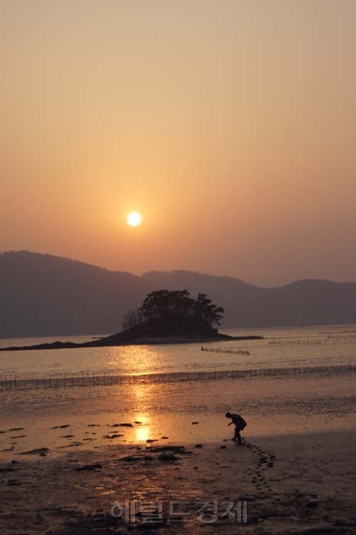 꽃보다 더 아름다운…갯벌 산책