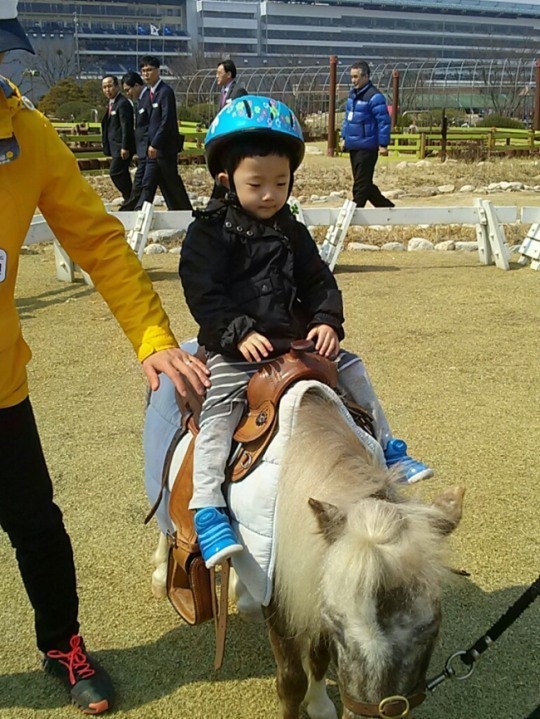 경마공원 이색 馬동물원 ‘포니랜드’를 아시나요?