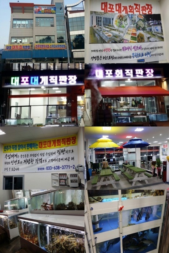 저렴한 가격으로 배부르게…속초 대포항 맛집 대포대게회직판장
