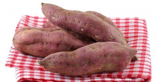 곰야식 이미지