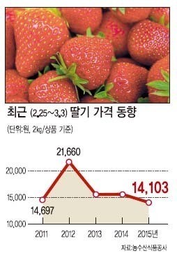 모처럼 달콤한 딸기사랑