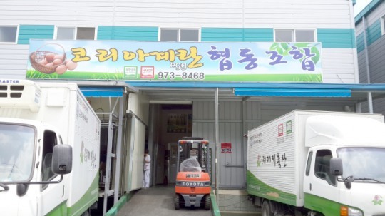 코리아계란협동조합 “안전하고 믿을 수 있는 상품을 제공키 위해 최선”
