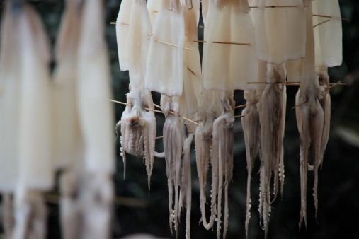 [리얼푸드] 메르스 대란인 요즘, 힘낼 수 있는 장어