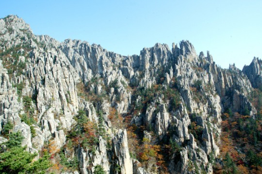 北, 금강산 산림 공동조사 요청…현대아산 29일 방북