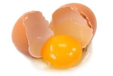계란 노른자, ‘콜레스테롤 덩어리’ 옛말…‘항암 효과에 DNA 손상 억제까지’