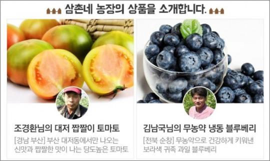 온라인몰서 과일ㆍ야채가게 인기