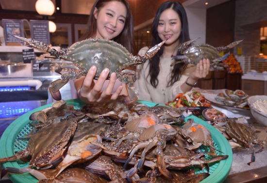 진도에서 올라온 햇 꽃게