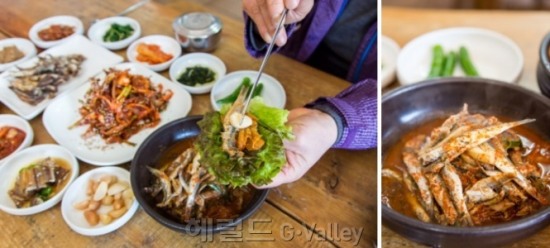 자연이 만들어낸 천상의 터널 남해에 가면