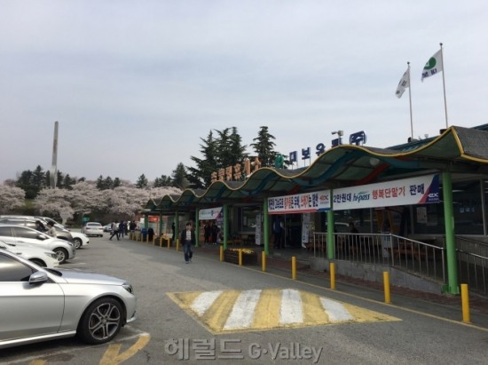 추풍령휴게소, 봄바람 살랑 ‘꽃씨 나누기’로 봄소식 전해요