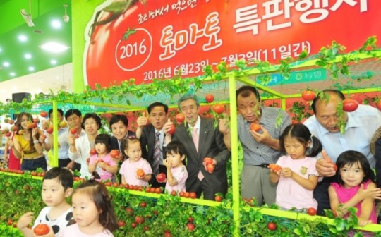 농협, 제철과일 토마토! 소비촉진 특판행사 실시…23일부터 11일간 전국 농협 하나로마트에서 토마토 할인판매