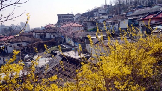 [포토스토리] 마장동 피카소마을
