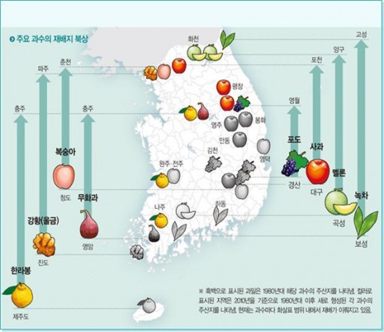 [기후변화의 역습]농작물 재배한계선도 지속 상승…북상하는 한반도의 생물서식지도