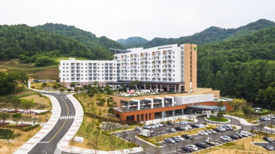 대명리조트 청송 은하수캠핑장