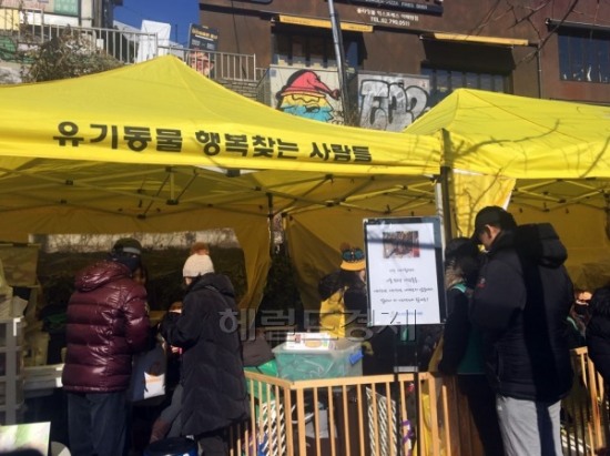 [사지 말고 입양하세요] ④입양봉사 ‘유.행.사.’ 현장을 찾아가다