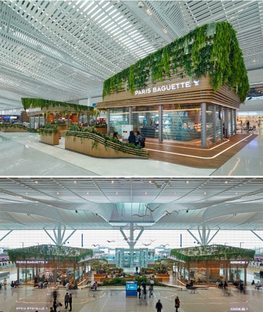 [포토뉴스] 인천공항 T2, 가든 느낌의 파리바게뜨ㆍ커피앳웍스
