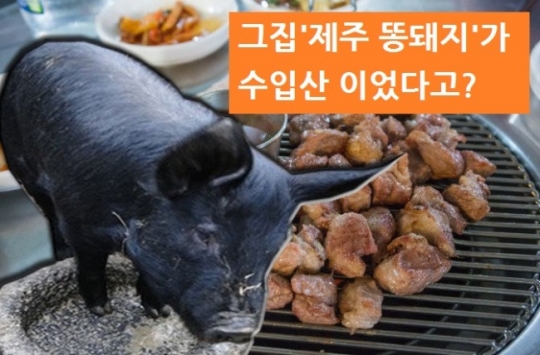내가 먹은 제주 똥돼지가 독일産?…딱걸린 ‘양심불량’ 제주 향토음식점