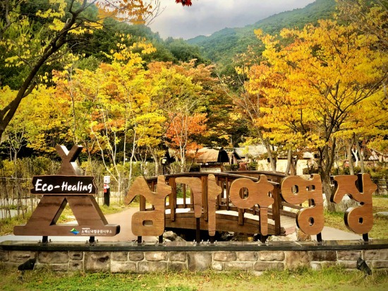 소백산국립공원사무소, 동절기 탐방객 안전 위해 삼가야영장 정비의 날 운영