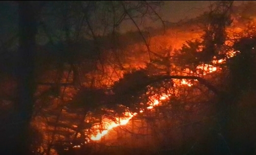 정선 백석산 산불 진화 재개…인력 110여명·헬기 7대 투입